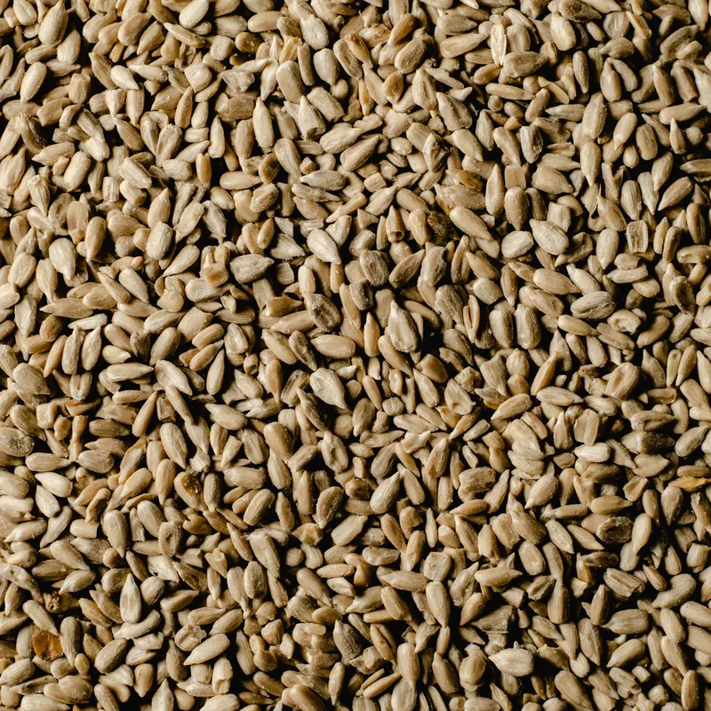 Sunflower Seeds